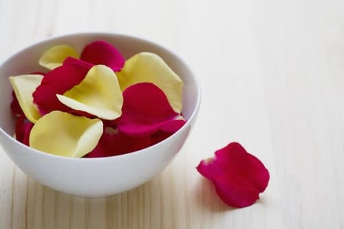 Rose Petals and Olive Oil for Stretch Marks2